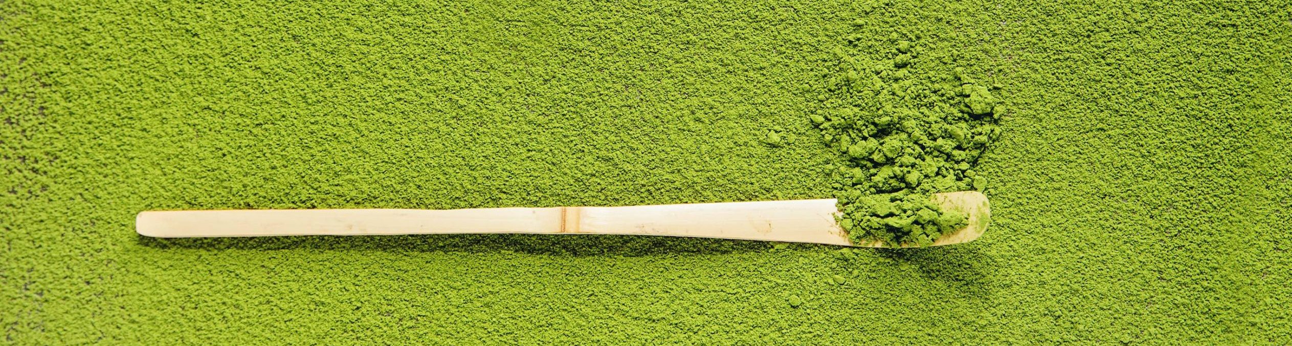 wholesale matcha supplier